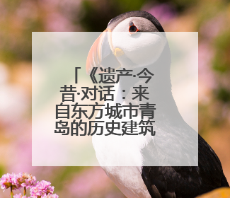 《遗产·今昔·对话：来自东方城市青岛的历史建筑巡礼》专题展在德开幕