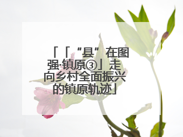 「“县”在图强·镇原③」走向乡村全面振兴的镇原轨迹