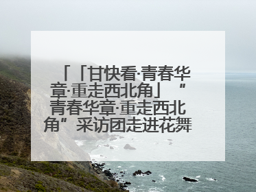 「甘快看·青春华章·重走西北角」“青春华章·重走西北角”采访团走进花舞南山 探寻天水乡村振兴之路