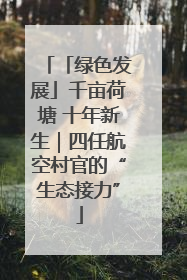 「绿色发展」千亩荷塘 十年新生｜四任航空村官的“生态接力”
