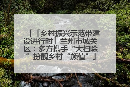 「乡村振兴示范带建设进行时」兰州市城关区：多方携手“大扫除”扮靓乡村“颜值”