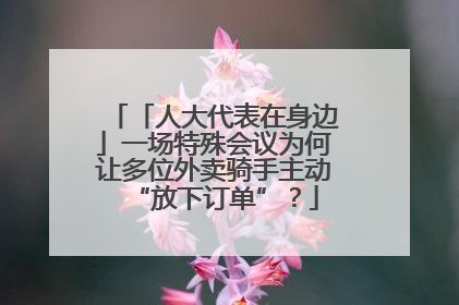 「人大代表在身边」一场特殊会议为何让多位外卖骑手主动“放下订单”？