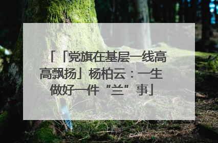 「党旗在基层一线高高飘扬」杨柏云：一生做好一件“兰”事