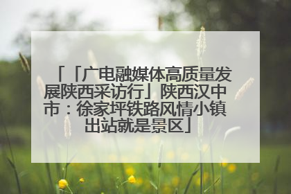 「广电融媒体高质量发展陕西采访行」陕西汉中市：徐家坪铁路风情小镇 出站就是景区