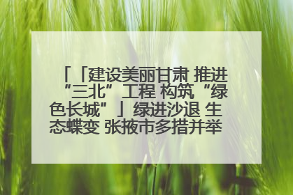 「建设美丽甘肃 推进“三北”工程 构筑“绿色长城”」绿进沙退 生态蝶变 张掖市多措并举加大防沙治沙力度