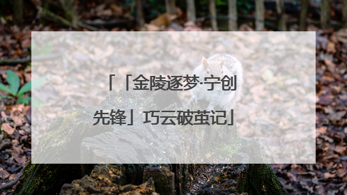 「金陵逐梦·宁创先锋」巧云破茧记