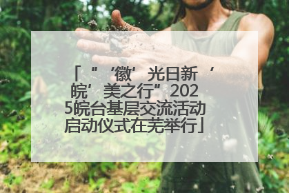“‘徽’光日新‘皖’美之行”2025皖台基层交流活动启动仪式在芜举行