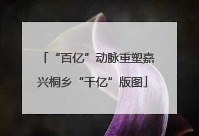 “百亿”动脉重塑嘉兴桐乡“千亿”版图