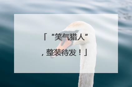 “笑气猎人”，整装待发！