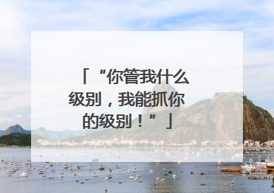 “你管我什么级别，我能抓你的级别！”