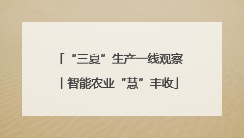 “三夏”生产一线观察丨智能农业“慧”丰收
