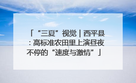 “三夏”视觉｜西平县：高标准农田里上演昼夜不停的“速度与激情”