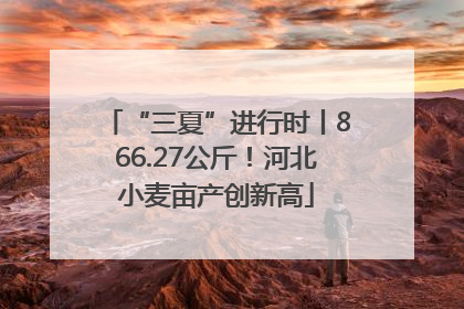 “三夏”进行时丨866.27公斤！河北小麦亩产创新高