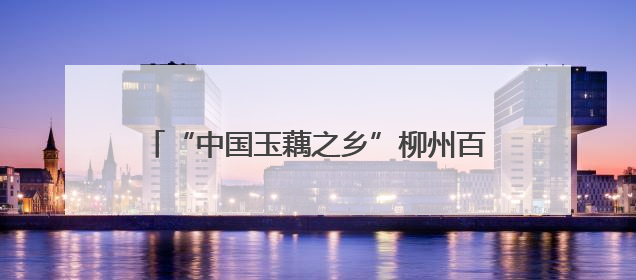 “中国玉藕之乡”柳州百朋镇玉藕抢“鲜”上市