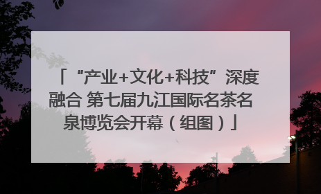 “产业+文化+科技”深度融合 第七届九江国际名茶名泉博览会开幕（组图）