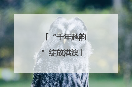 “千年越韵”绽放港澳