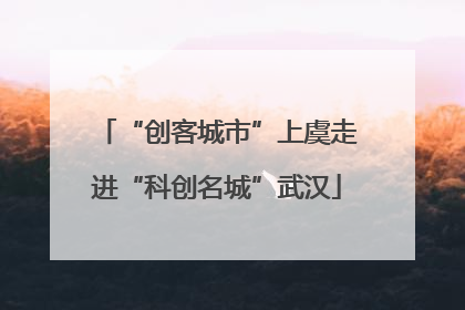 “创客城市”上虞走进“科创名城”武汉