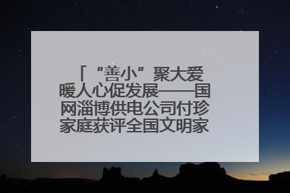 “善小”聚大爱 暖人心促发展——国网淄博供电公司付珍家庭获评全国文明家庭背后的文明密码