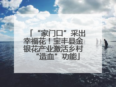 “家门口”采出幸福花！宝丰县金银花产业激活乡村“造血”功能