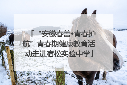 “安徽春蕾•青春护航”青春期健康教育活动走进宿松实验中学