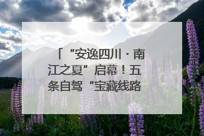 “安逸四川・南江之夏”启幕！五条自驾“宝藏线路”串联避暑胜地