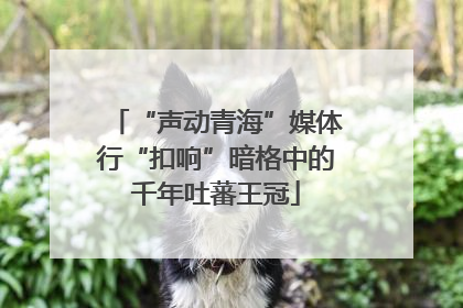 “声动青海”媒体行“扣响”暗格中的千年吐蕃王冠
