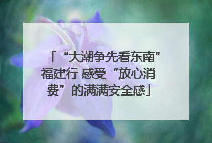 “大潮争先看东南”福建行 感受“放心消费”的满满安全感