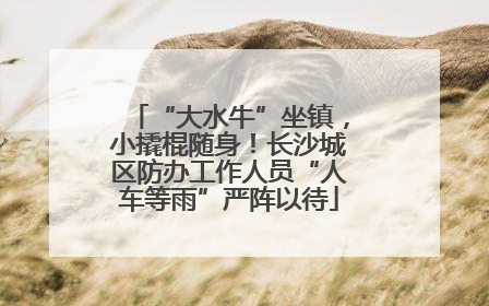 “大水牛”坐镇，小撬棍随身！长沙城区防办工作人员“人车等雨”严阵以待