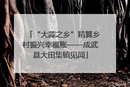 “大蒜之乡”精算乡村振兴幸福账——成武县大田集镇见闻