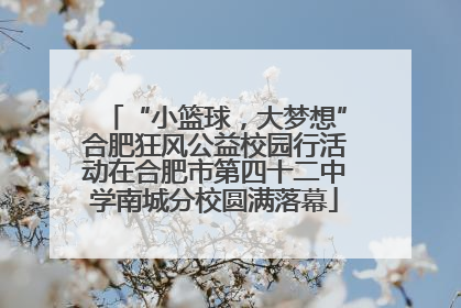 “小篮球，大梦想”合肥狂风公益校园行活动在合肥市第四十二中学南城分校圆满落幕