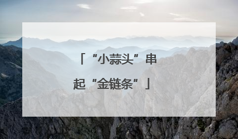 “小蒜头”串起“金链条”