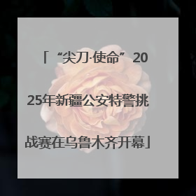 “尖刀·使命”2025年新疆公安特警挑战赛在乌鲁木齐开幕