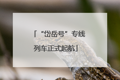 “岱岳号”专线列车正式起航