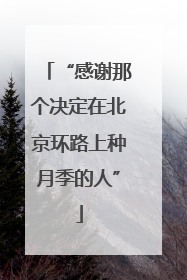 “感谢那个决定在北京环路上种月季的人”