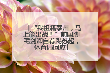 “我祖籍泰州，马上能出战！”前国脚毛剑卿自荐踢苏超，体育局回应