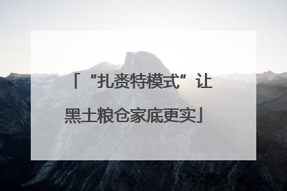 “扎赉特模式”让黑土粮仓家底更实