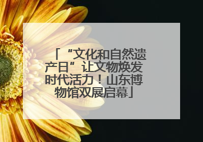 “文化和自然遗产日”让文物焕发时代活力！山东博物馆双展启幕