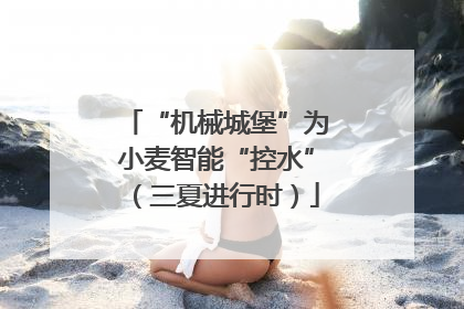 “机械城堡”为小麦智能“控水”（三夏进行时）