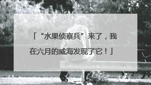 “水果侦察兵”来了，我在六月的威海发现了它！