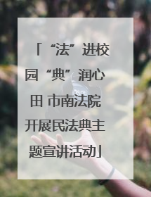 “法”进校园“典”润心田 市南法院开展民法典主题宣讲活动