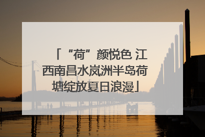 “荷”颜悦色 江西南昌水岚洲半岛荷塘绽放夏日浪漫