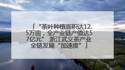 “茶叶种植面积达12.5万亩，全产业链产值达57亿元” 浙江武义茶产业全链发展“加速度”