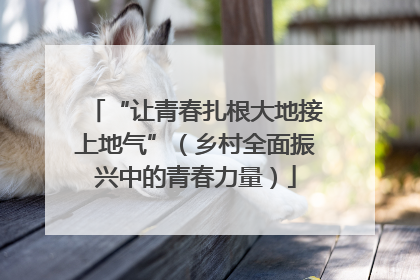“让青春扎根大地接上地气”（乡村全面振兴中的青春力量）