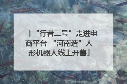 “行者二号”走进电商平台 “河南造”人形机器人线上开售