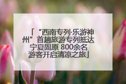 “西南专列·乐游神州”首趟旅游专列抵达宁夏固原 800余名游客开启清凉之旅