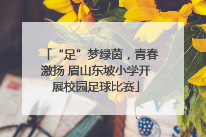 “足”梦绿茵，青春激扬 眉山东坡小学开展校园足球比赛
