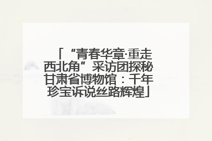 “青春华章·重走西北角”采访团探秘甘肃省博物馆：千年珍宝诉说丝路辉煌