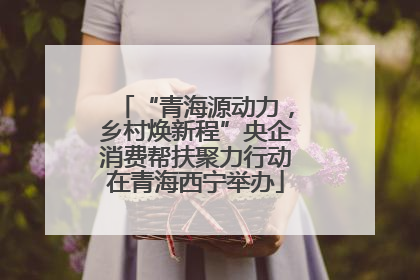 “青海源动力，乡村焕新程”央企消费帮扶聚力行动在青海西宁举办