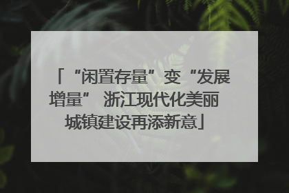 “闲置存量”变“发展增量” 浙江现代化美丽城镇建设再添新意
