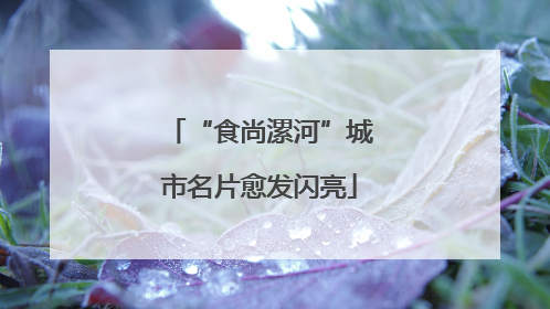 “食尚漯河”城市名片愈发闪亮
